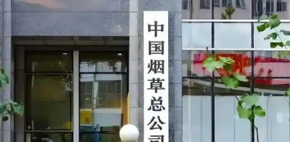 《2026抖音电商运动消费趋势报告》:观赛季足球相关商品成交额同比增长113%